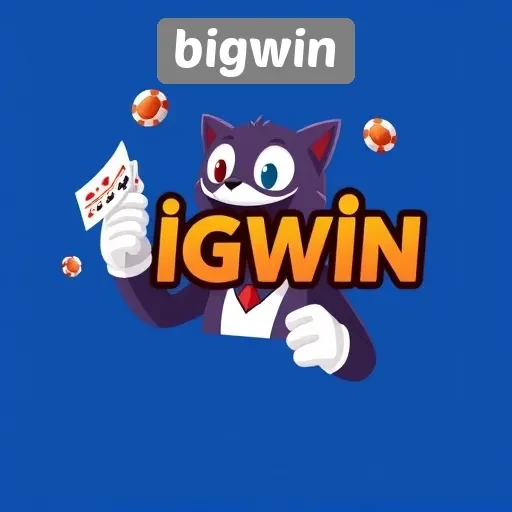 Panduan Pemula Bermain di Situs Bigwin dengan Aman